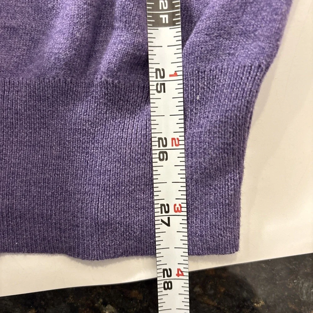 Polo Ralph Lauren Pima Cotton V neck Green Pony Purple Holiday Sweater Men's XXL